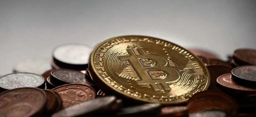 bitcoin, money, decentralized, anonymous, currency, gold, cash, internet, virtual, international, digital, finance, cryptography, network, cryptocurrency, bitcoin, bitcoin, bitcoin, bitcoin, bitcoin, cryptocurrency, cryptocurrency, cryptocurrency