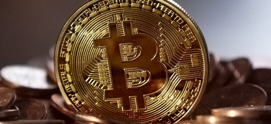 bitcoin, money, decentralized, virtual, coin, currency, cash, web, anonymous, international, digital, network, finance, internet, cryptography, cryptocurrency, blockchain, gold, btc, crypto-currency, brown money, brown network, brown finance, brown internet, brown digital, brown web, bitcoin, bitcoin, bitcoin, bitcoin, bitcoin, btc