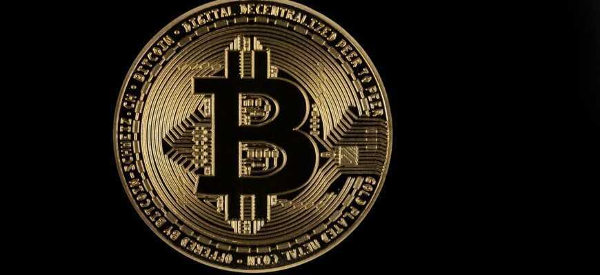 bitcoin, gold, coin, icon, symbol, logo, bitcoin gold, bitcoin logo, currency, cryptocurrency, black background, bitcoin, bitcoin, bitcoin, bitcoin, logo, logo, logo, logo, logo, bitcoin logo, bitcoin logo, bitcoin logo