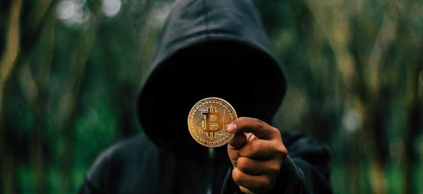 bitcoin, coin, hoodie