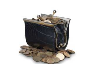 coins, purse, wallet, money, currency, change, cash, finance, savings, financial, leather purse, coin purse, purse, purse, purse, purse, purse, wallet, coin purse, coin purse