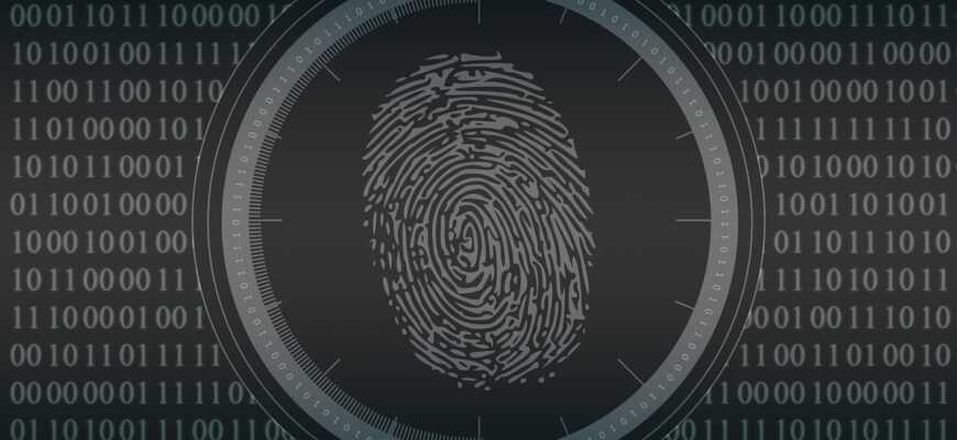 biometrics, fingerprint, security, protection, authentication, biometrics, fingerprint, fingerprint, fingerprint, authentication, authentication, authentication, authentication, authentication