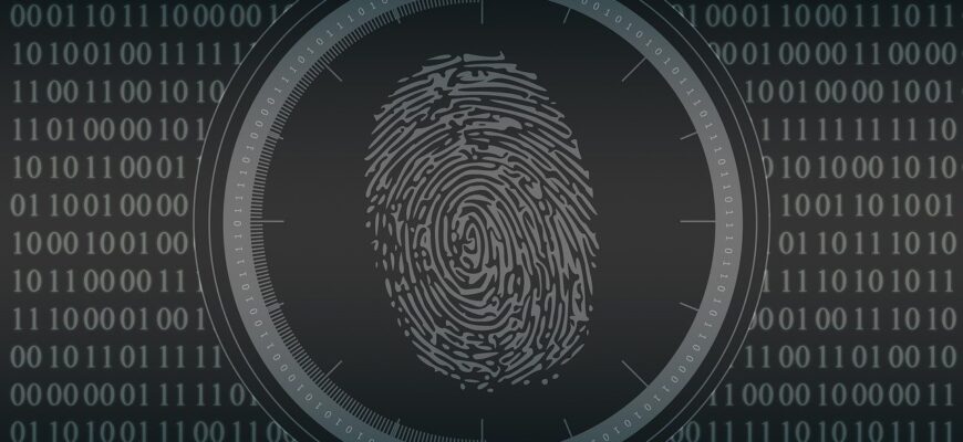 biometrics, fingerprint, security