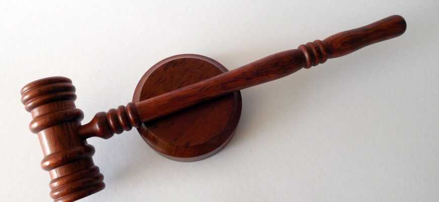 hammer, books, law, dish, lawyer, paragraphs, regulation, court of justice, a book, §, code, law books, judge, order, paragraph, rule, disposal, auction, law, law, law, law, law, lawyer, lawyer, lawyer, judge, rule