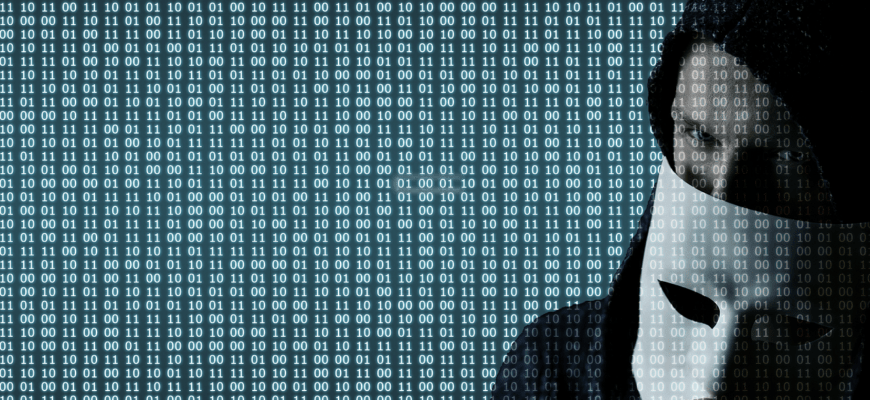 scam, hacker, hacking, privacy, fraud, phishing, malware, data theft, cyber, cyber security, internet, internet security, computer, internet fraud, scam, scam, scam, scam, scam, fraud, fraud, phishing