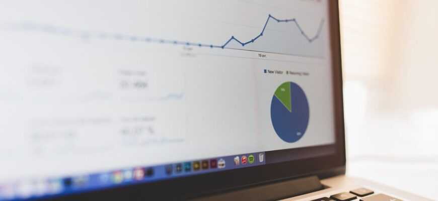 computer, summary, chart, business, seo, presentation, business presentation, screen, laptop screen, growth, notebook, laptop, digital notebook, computer, chart, business, business, seo, seo, seo, seo, seo, presentation, growth, growth, laptop